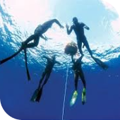  Freediving a Spearfishing 
